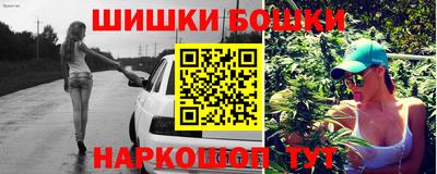крисы Донской