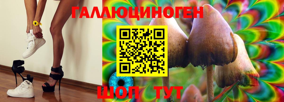 Галлюциногенные грибы Psilocybe  Вход с VPN  Нальчик 